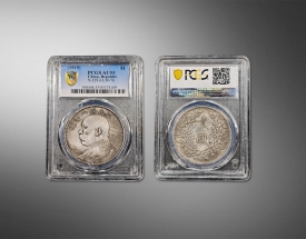 中华民国八年造袁大头