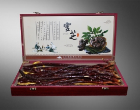灵枝草一盒200g
