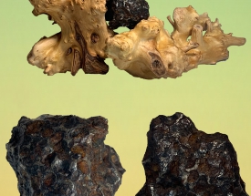 随城橄榄陨石
