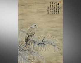曾以宁 苍鹰