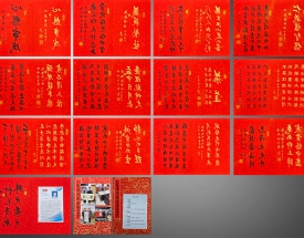 苏建东 镜像书法册页